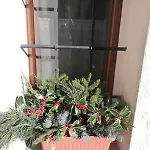 Dom wakacyjny Ai Piedi Del Monte Bianco *